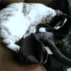 Illustration for article titled Waking the Cat is Normally a Bad Idea. This is the Exception.